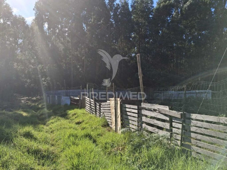 Terreno para Venda em Gaula Foto 6