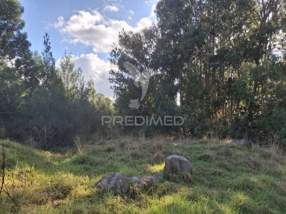 Terreno para Venda em Gaula Foto 4