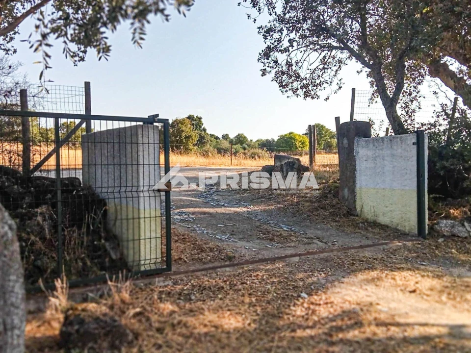 Quinta para Venda em Escalos de Baixo e Mata Foto 1