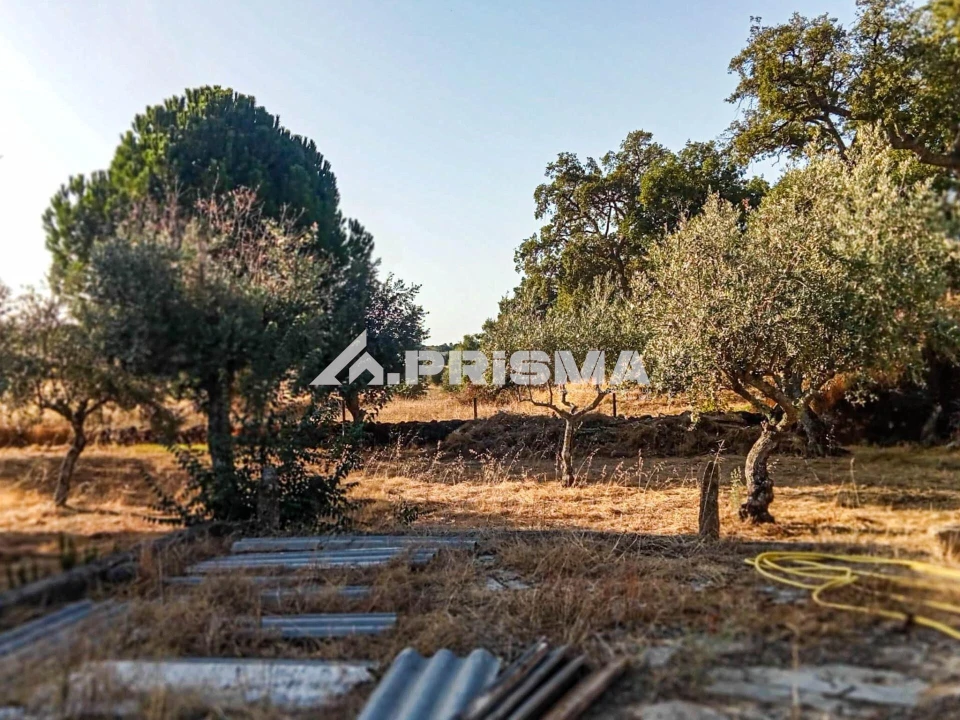 Quinta para Venda em Escalos de Baixo e Mata Foto 4