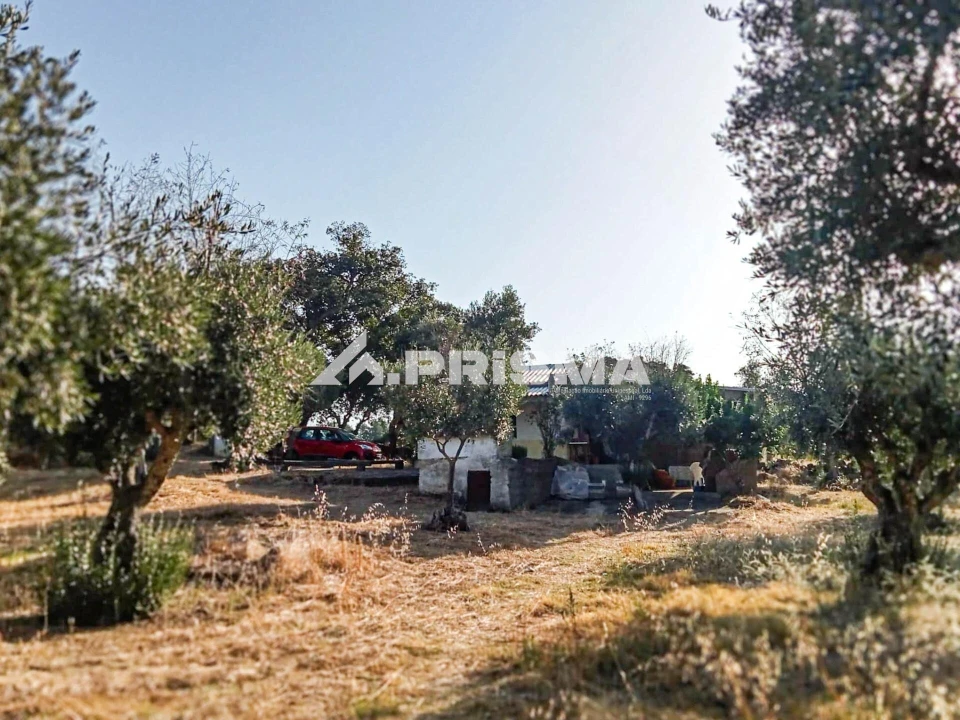 Quinta para Venda em Escalos de Baixo e Mata Foto 24