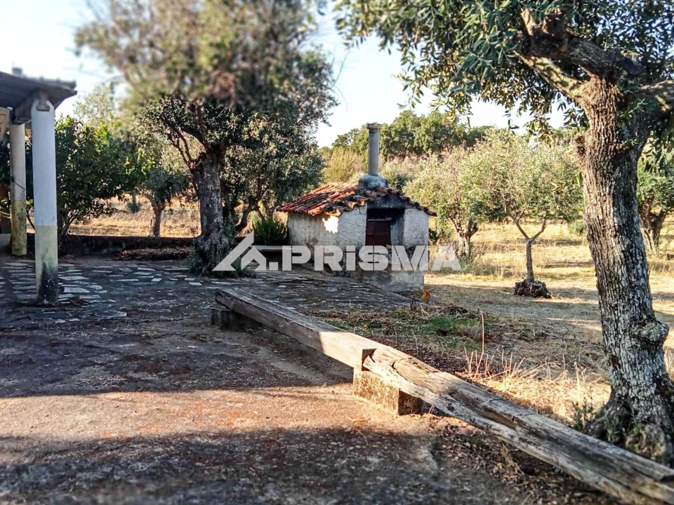 Quinta para Venda em Escalos de Baixo e Mata Foto 20