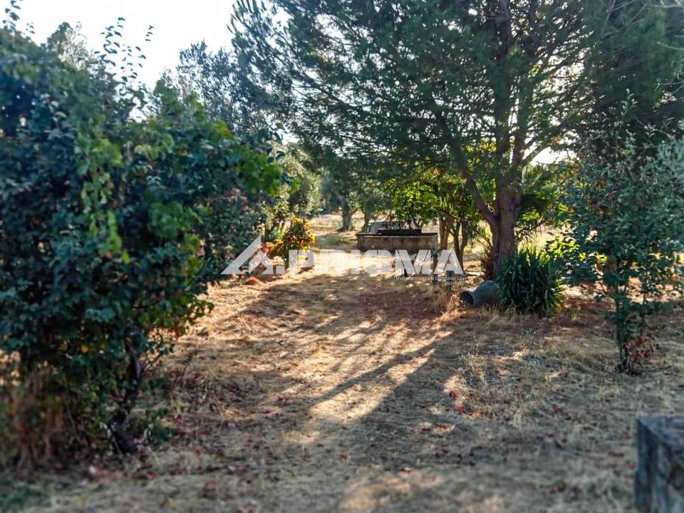 Quinta para Venda em Escalos de Baixo e Mata Foto 27