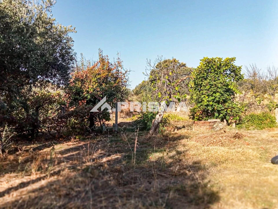 Quinta para Venda em Escalos de Baixo e Mata Foto 22