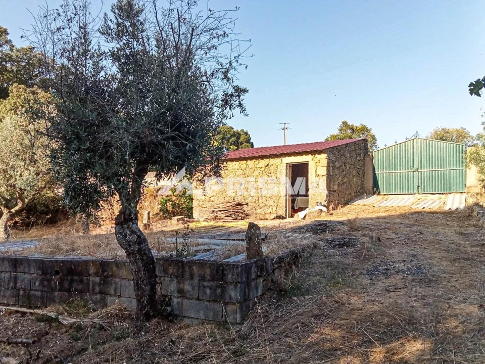 Quinta para Venda em Escalos de Baixo e Mata Foto 2