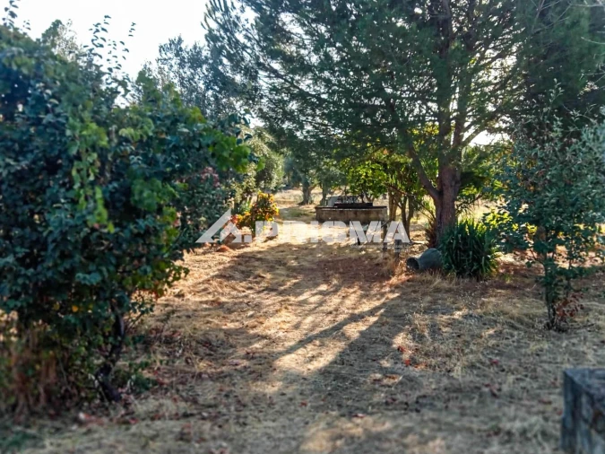 Quinta para Venda em Escalos de Baixo e Mata Foto 27