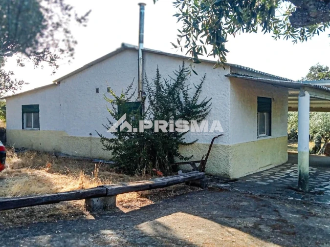 Quinta para Venda em Escalos de Baixo e Mata Foto 12