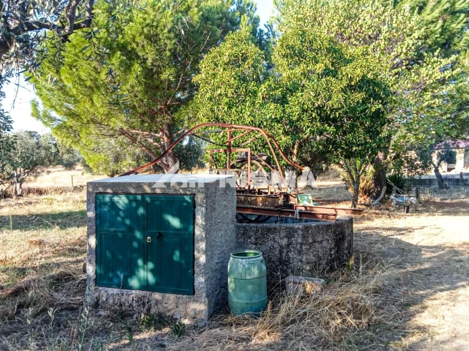Quinta para Venda em Escalos de Baixo e Mata Foto 9