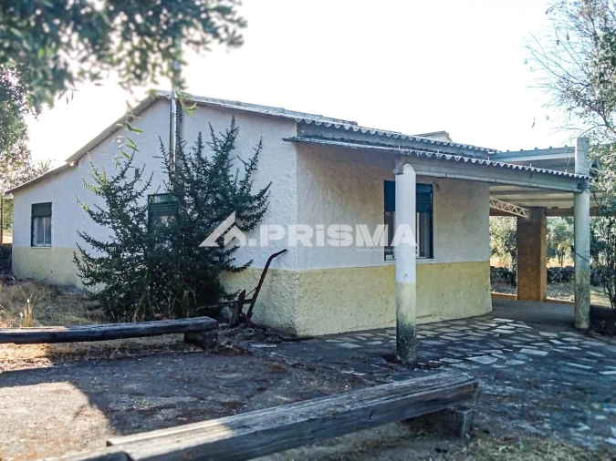 Quinta para Venda em Escalos de Baixo e Mata Foto 11