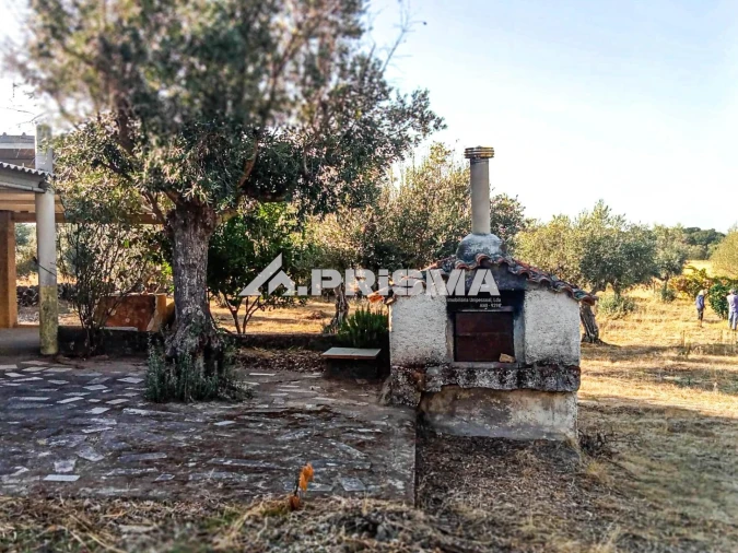 Quinta para Venda em Escalos de Baixo e Mata Foto 13