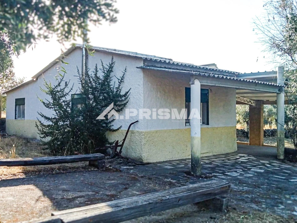 Quinta para Venda em Escalos de Baixo e Mata Foto 11