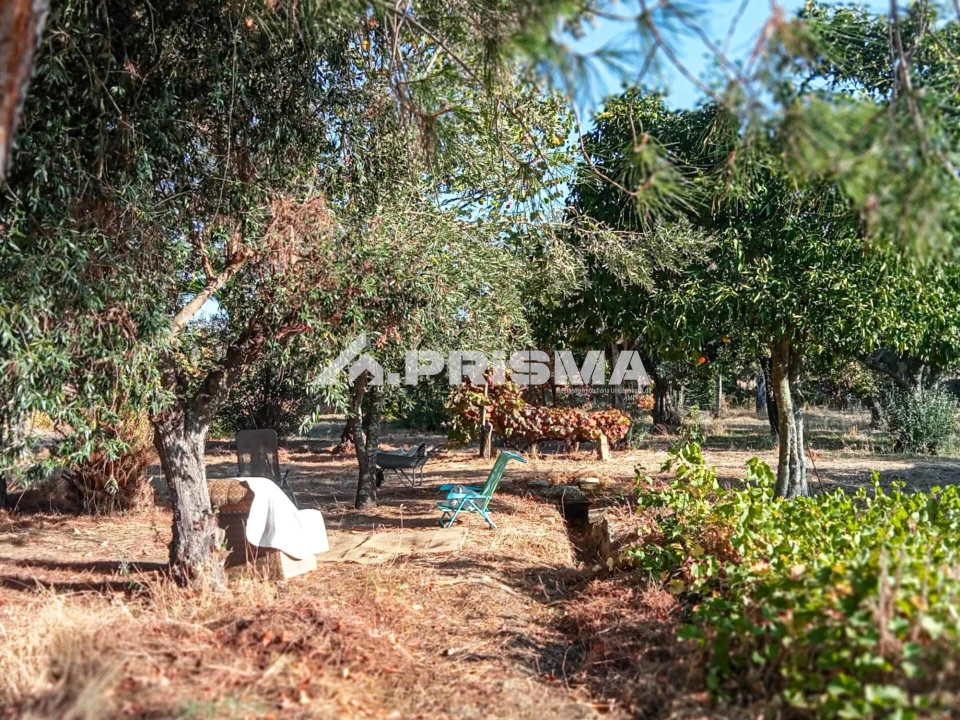 Quinta para Venda em Escalos de Baixo e Mata Foto 6