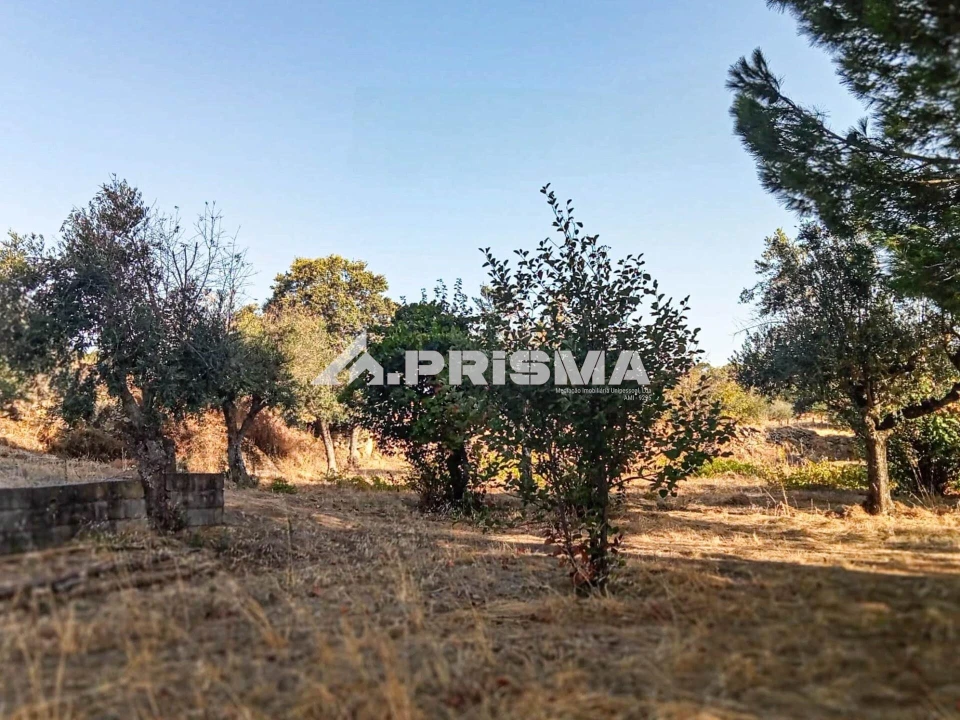 Quinta para Venda em Escalos de Baixo e Mata Foto 25