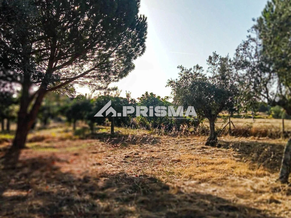 Quinta para Venda em Escalos de Baixo e Mata Foto 26