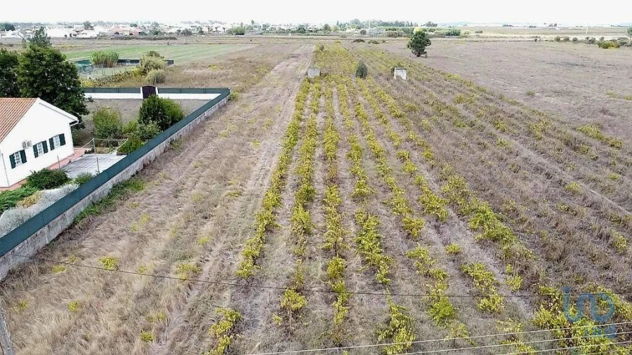 Terreno para Venda em Alpiarça Foto 3