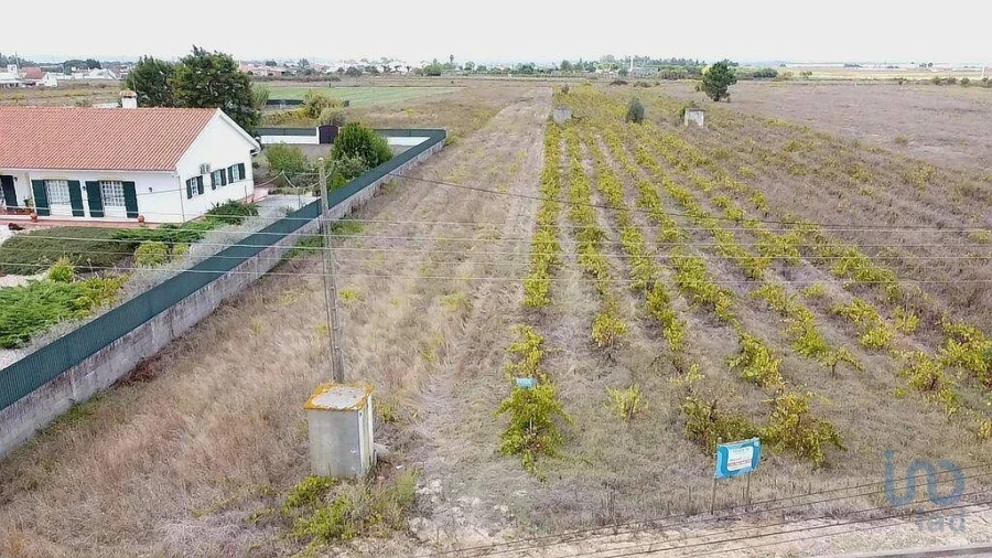 Terreno para Venda em Alpiarça Foto 5