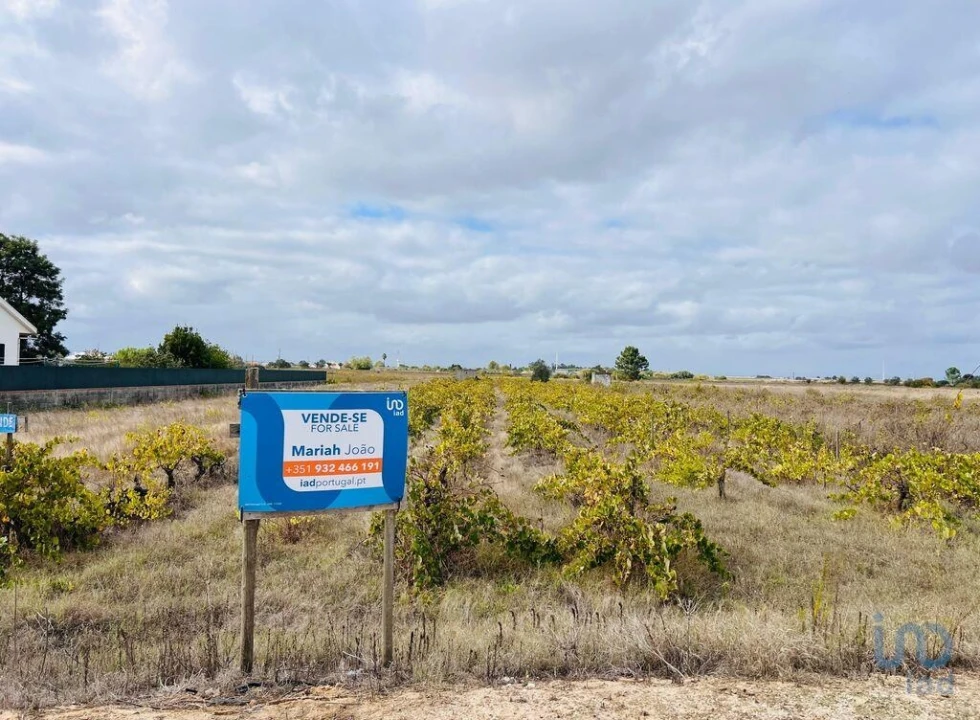 Terreno para Venda em Alpiarça Foto 1