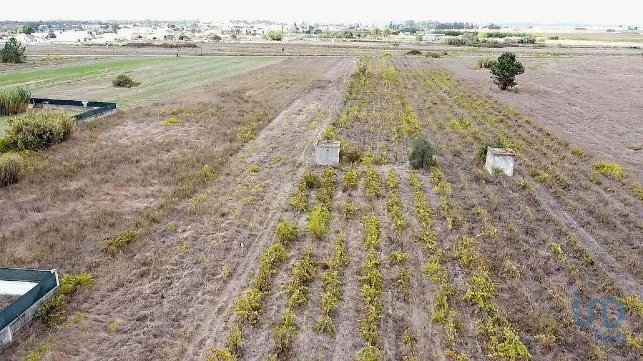 Terreno para Venda em Alpiarça Foto 4