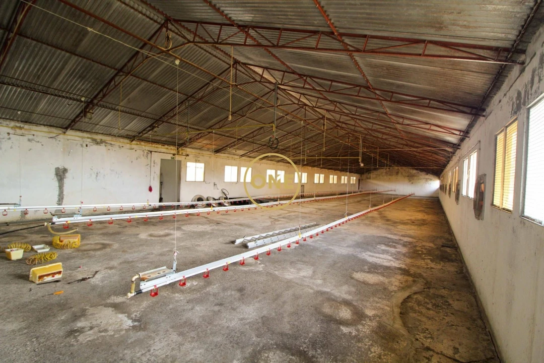 Armazém para Venda em Caniço Foto 4