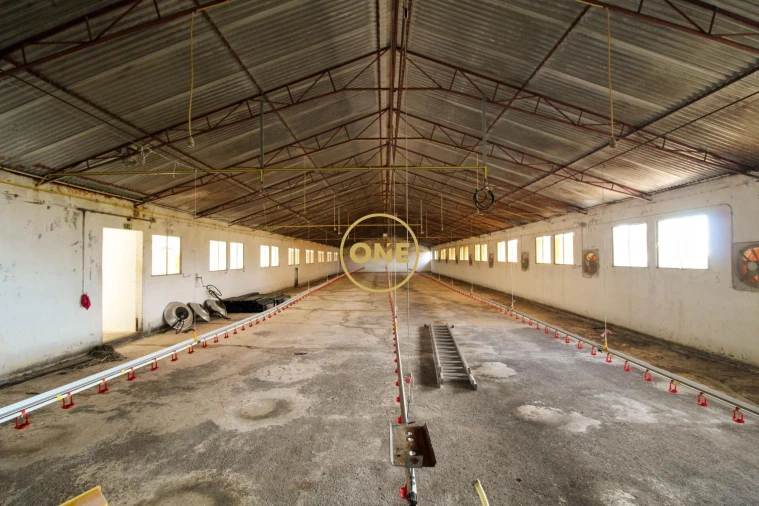 Armazém para Venda em Caniço Foto 5