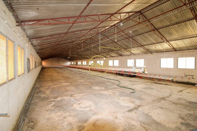 Armazém para Venda em Caniço Foto 2