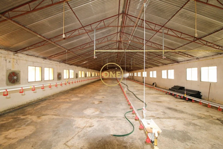 Armazém para Venda em Caniço Foto 7