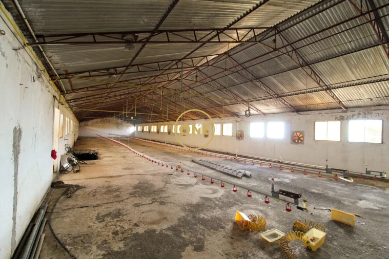 Armazém para Venda em Caniço Foto 3