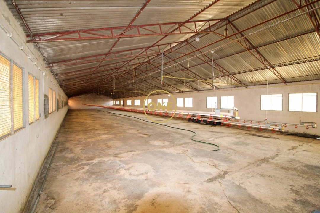 Armazém para Venda em Caniço Foto 2