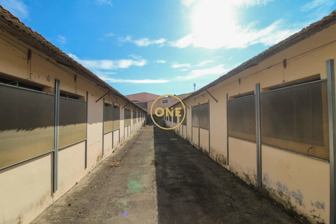 Armazém para Venda em Caniço Foto 1