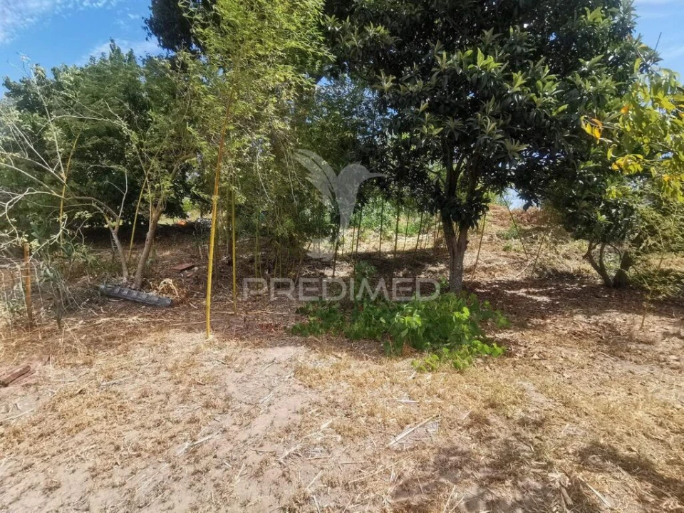 Quinta T2 para Venda em Chamusca e Pinheiro Grande Foto 19