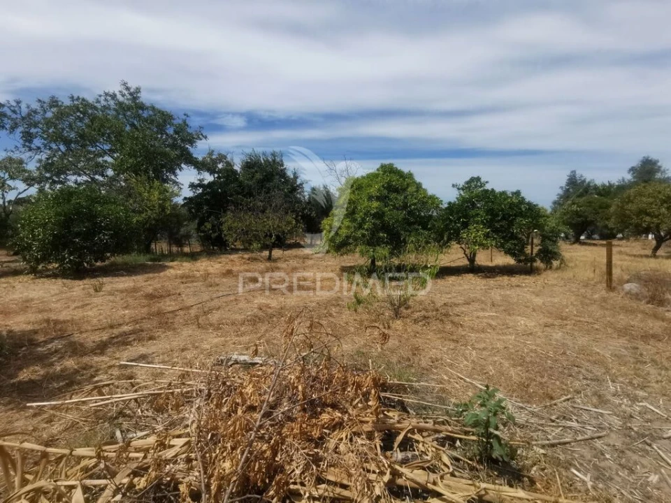 Quinta T2 para Venda em Chamusca e Pinheiro Grande Foto 20