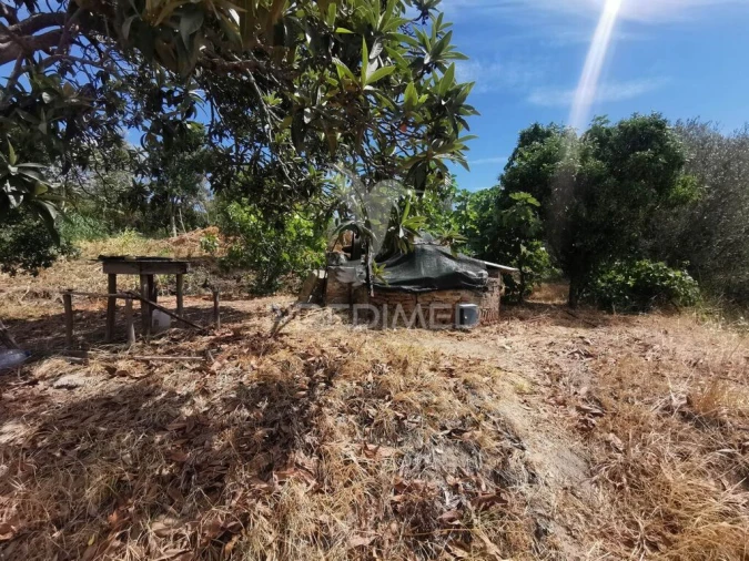 Quinta T2 para Venda em Chamusca e Pinheiro Grande Foto 17