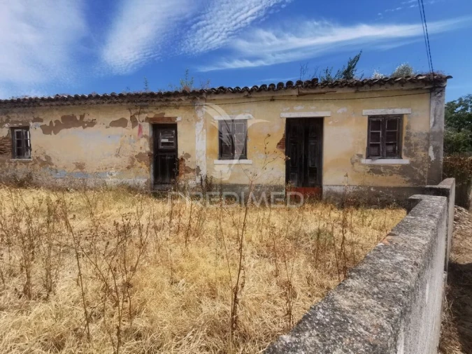 Quinta T2 para Venda em Chamusca e Pinheiro Grande Foto 3