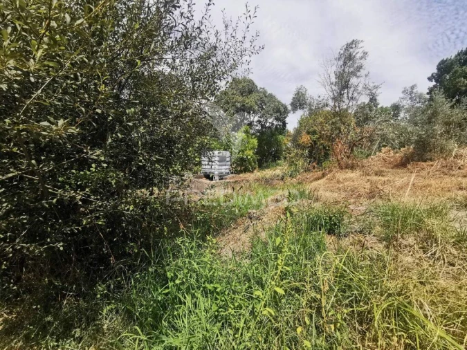 Quinta T2 para Venda em Chamusca e Pinheiro Grande Foto 12