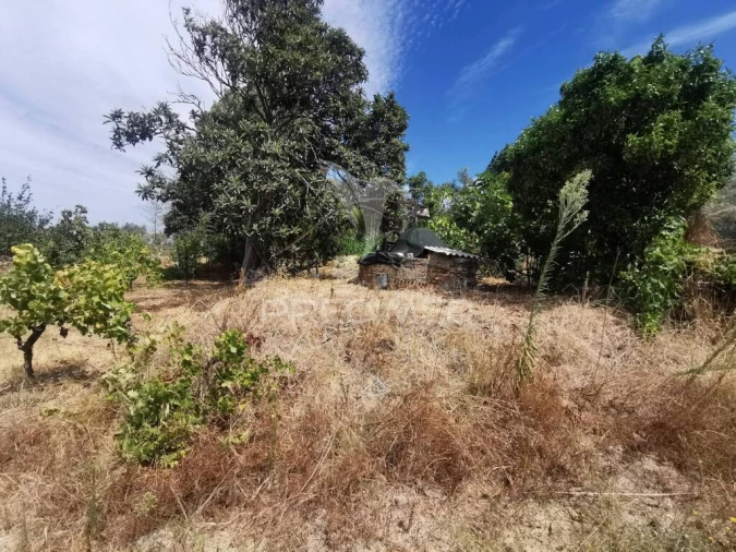 Quinta T2 para Venda em Chamusca e Pinheiro Grande Foto 13