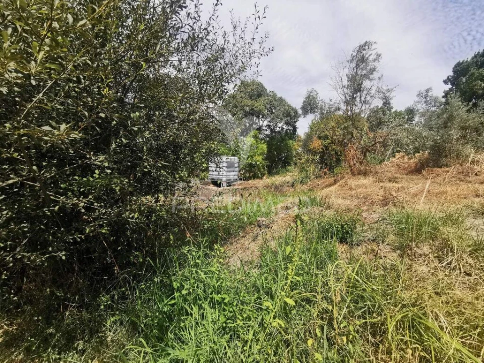 Quinta T2 para Venda em Chamusca e Pinheiro Grande Foto 12