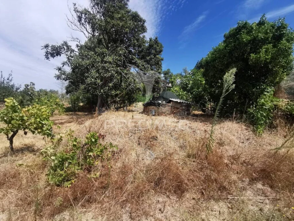 Quinta T2 para Venda em Chamusca e Pinheiro Grande Foto 13