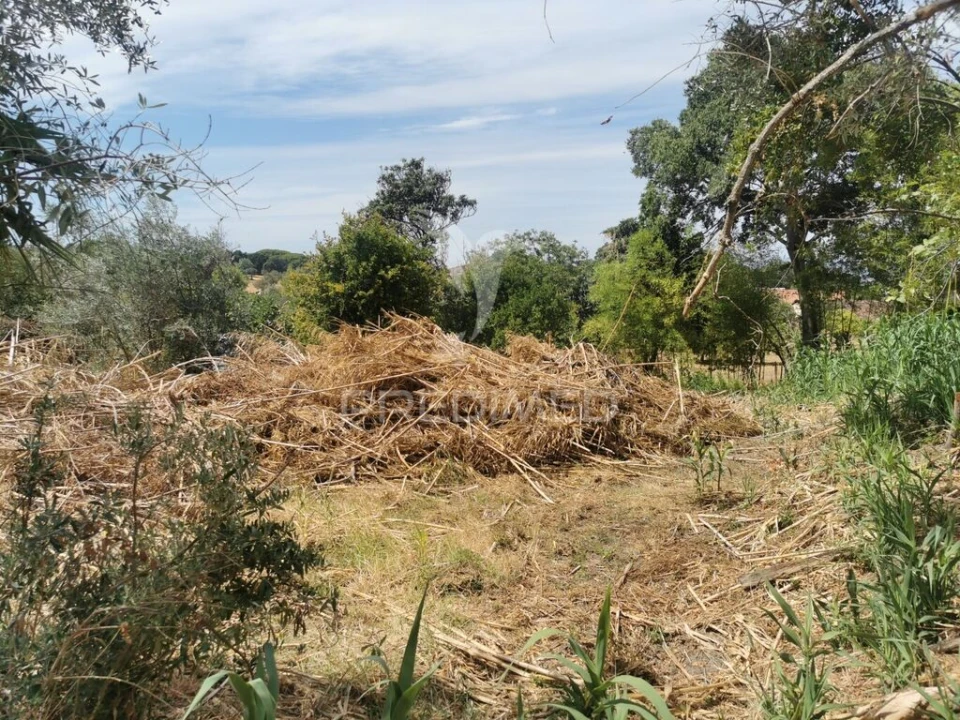 Quinta T2 para Venda em Chamusca e Pinheiro Grande Foto 7