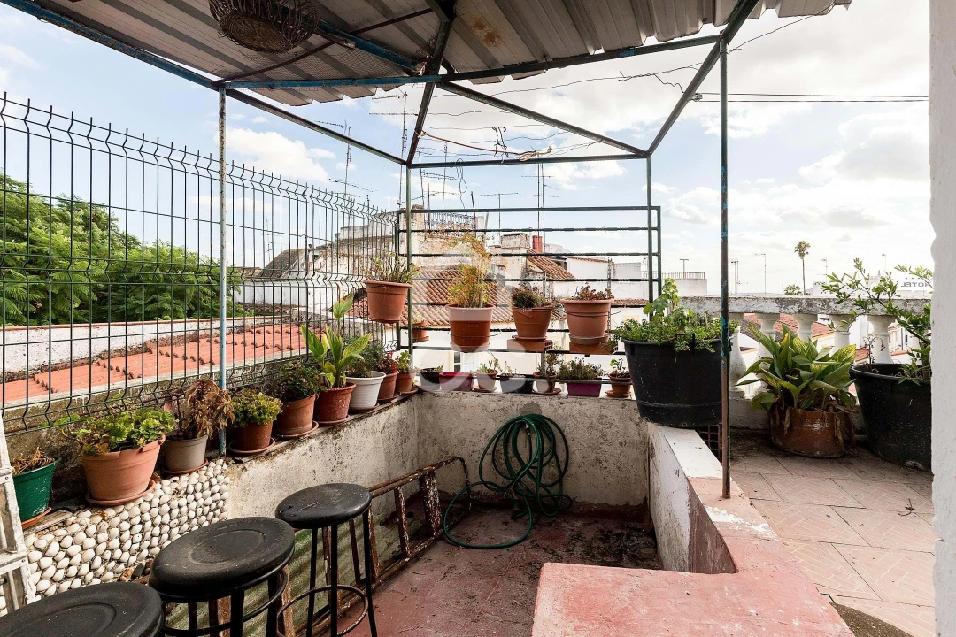 Moradia T3 para Venda em Assunção, Ajuda, Salvador e Santo Ildefonso Foto 4