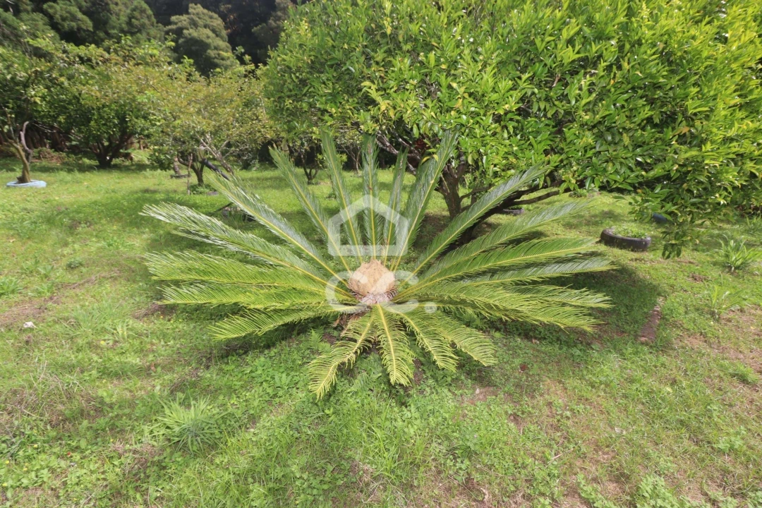 Terreno para Venda em Povoação Foto 30