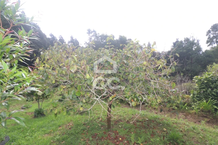 Terreno para Venda em Povoação Foto 26