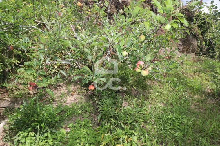 Terreno para Venda em Povoação Foto 23