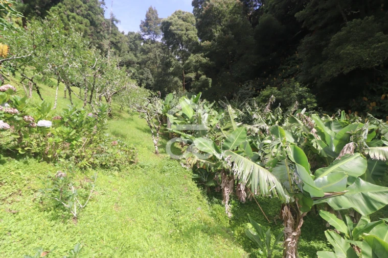 Terreno para Venda em Povoação Foto 34