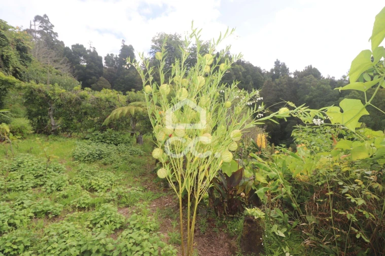 Terreno para Venda em Povoação Foto 45