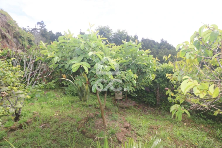 Terreno para Venda em Povoação Foto 19