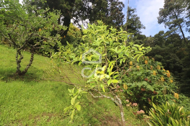 Terreno para Venda em Povoação Foto 35