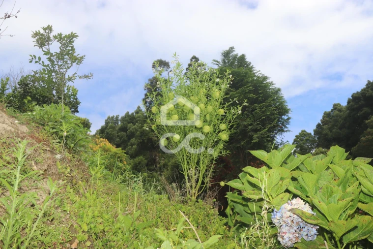 Terreno para Venda em Povoação Foto 31