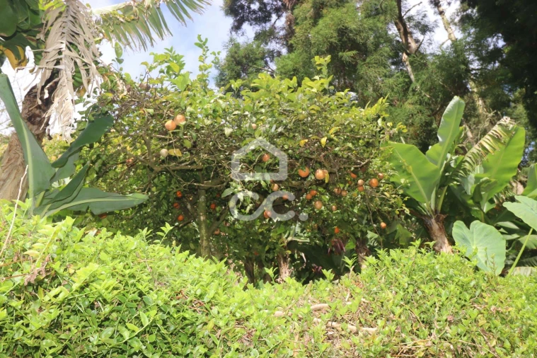 Terreno para Venda em Povoação Foto 38