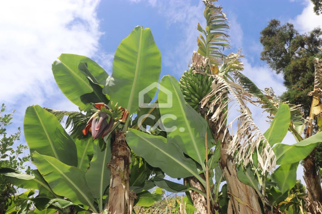 Terreno para Venda em Povoação Foto 24