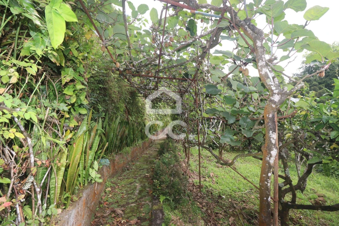 Terreno para Venda em Povoação Foto 20